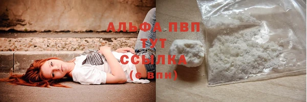 spice Горняк